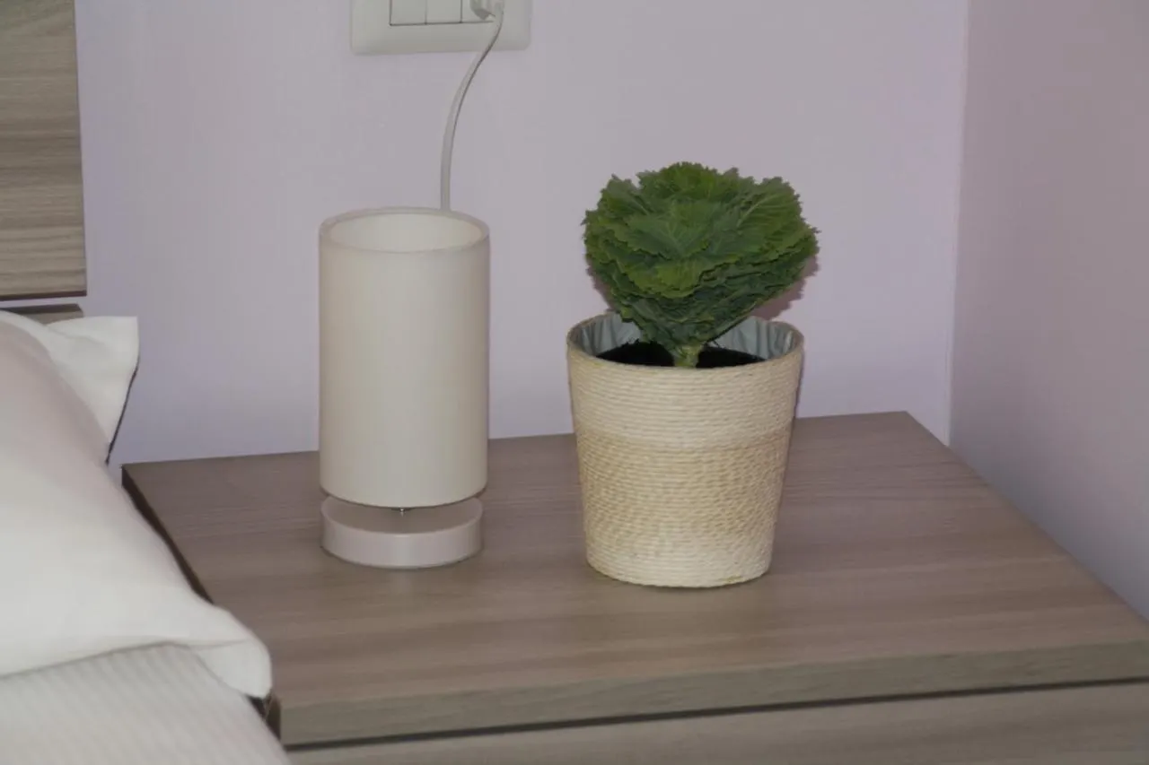Le Colonne Milano Bed & Breakfast ミラノ